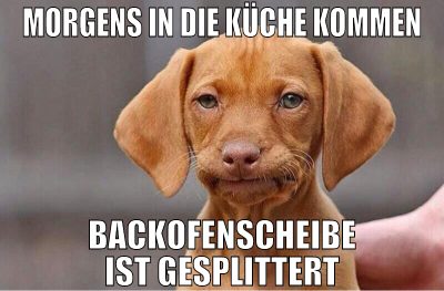 morgens in die küche kommen backofenscheibe ist ge
