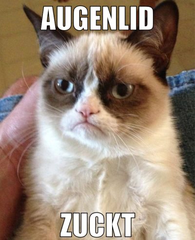 augenlid zuckt