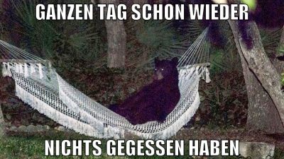 GANZEN TAG SCHON WIEDER NICHTS GEGESSEN HABEN