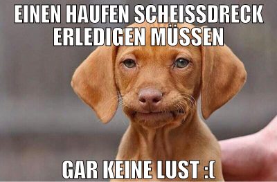 einen haufen scheissdreck erledigen müssen gar kei
