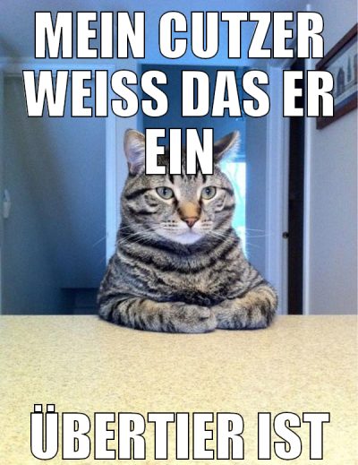 Mein Cutzer weiß das er ein übertier ist