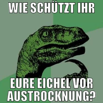 wie schützt ihr eure eichel vor austrocknung?