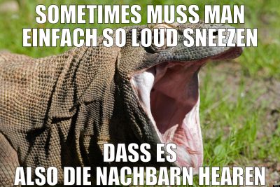 SOMETIMES MUSS MAN EINFACH SO LOUD SNEEZEN DASS ES