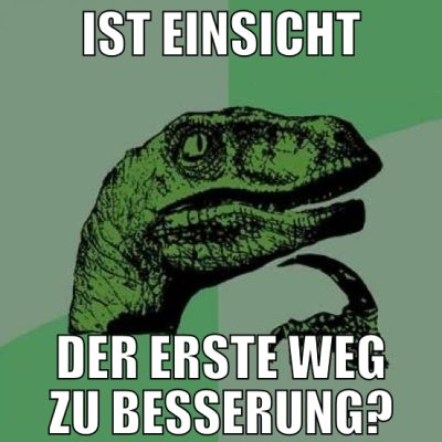 ist einsicht der erste weg zu besserung?