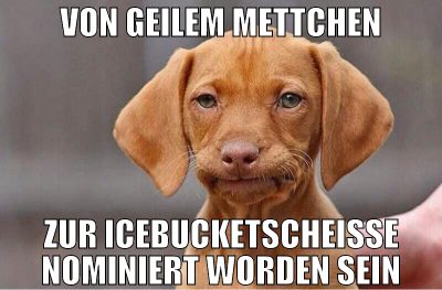 VON GEILEM METTCHEN ZUR ICEBUCKETSCHEIßE NOMINIERT