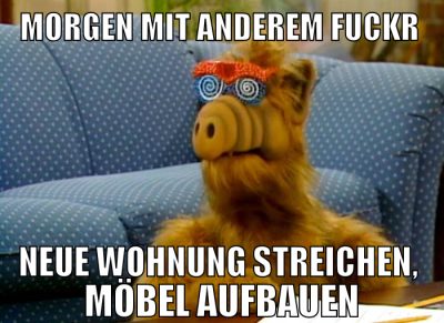 morgen mit anderem fuckr neue wohnung streichen, m