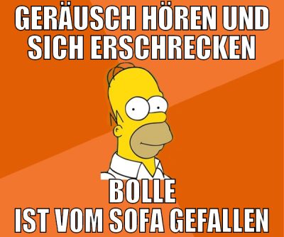 geräusch hören und sich erschrecken bolle ist vom