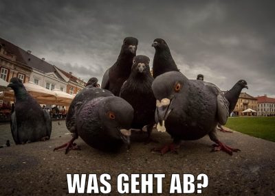 was geht ab?