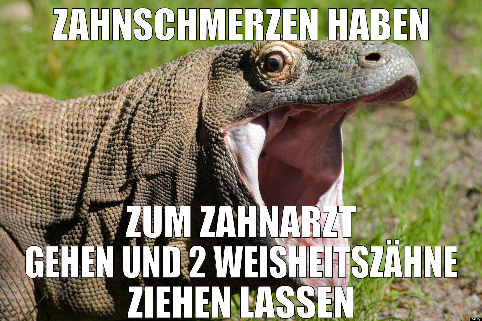 Zahnschmerzen haben Zum zahnarzt gehen und 2 weish