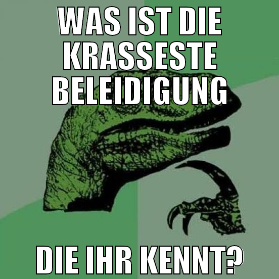 WAS IST DIE KRASSESTE BELEIDIGUNG DIE IHR KENNT?