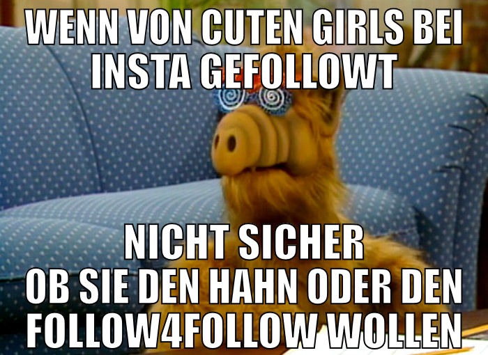 WENN VON CUTEN GIRLS BEI INSTA GEFOLLOWT NICHT SIC