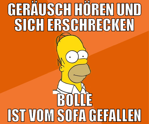 geräusch hören und sich erschrecken bolle ist vom