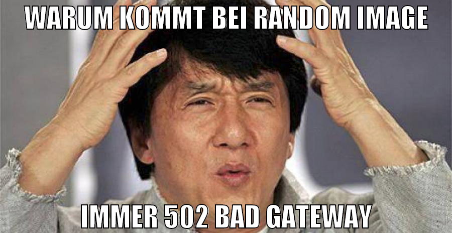 Warum kommt bei random image immer 502 Bad gateway