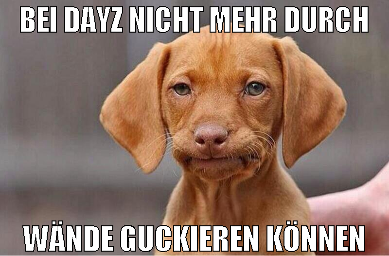 bei dayz nicht mehr durch wände guckieren können