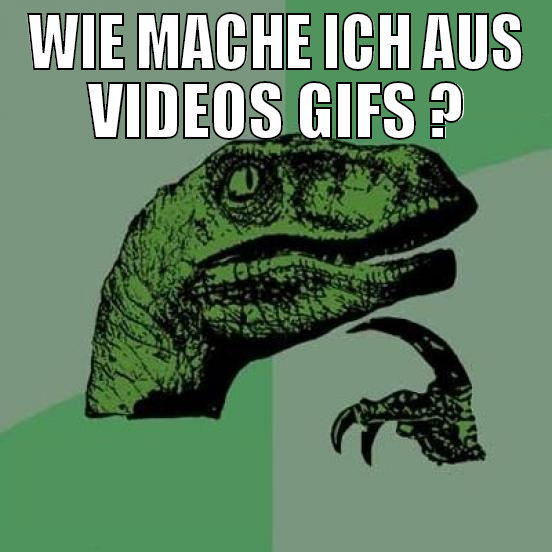 wie mache ich aus videos gifs ?