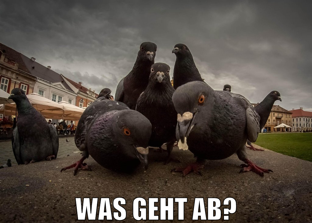 was geht ab?