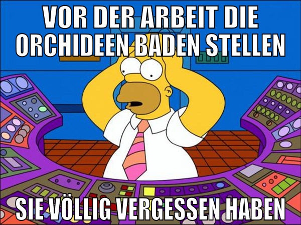 Vor der Arbeit die Orchideen baden stellen sie völ
