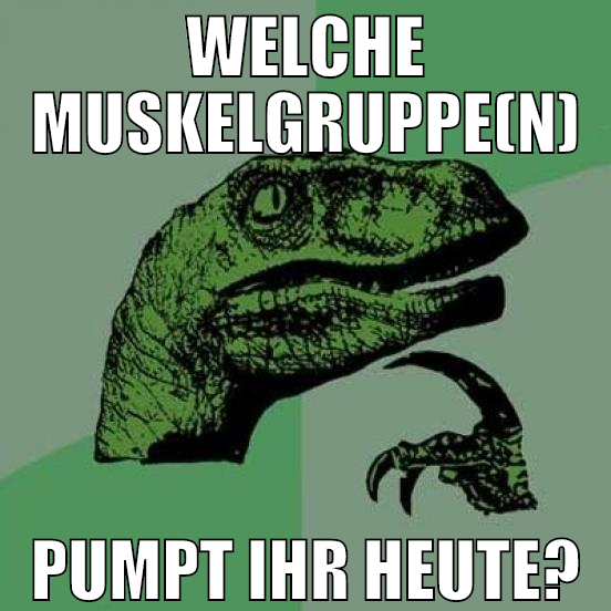 welche muskelgruppe(n) pumpt ihr heute?