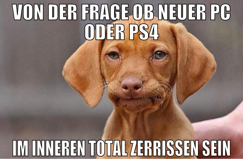 von der frage ob neuer pc oder ps4 im inneren tota