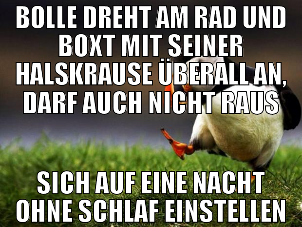 bolle dreht am rad und boxt mit seiner halskrause