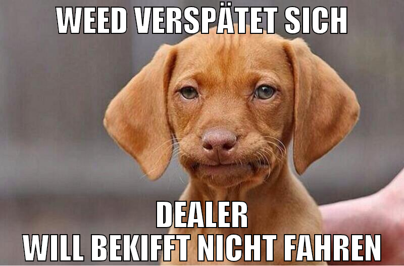 WEED VERSPÄTET SICH DEALER WILL BEKIFFT NICHT FAHR