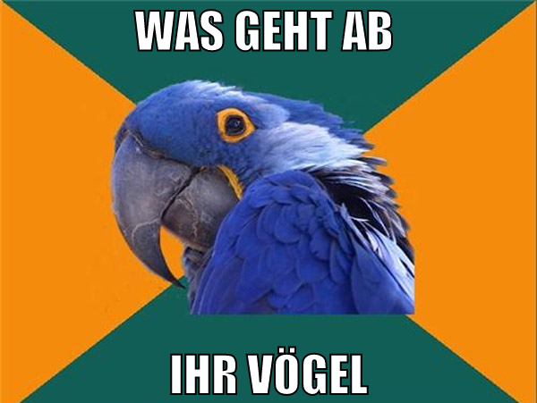 was geht ab  ihr vögel