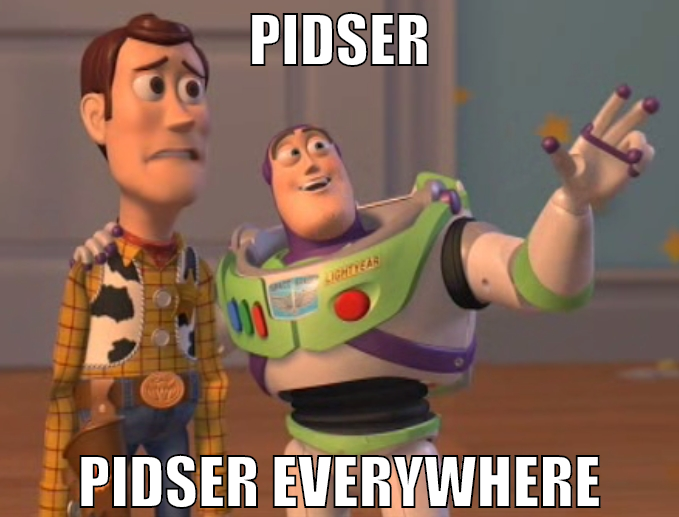 pidser pidser everywhere