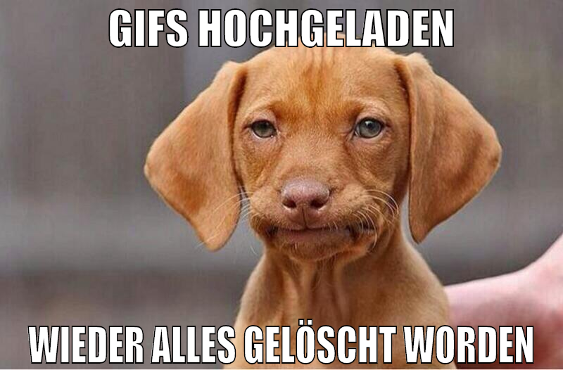 gifs hochgeladen wieder alles gelöscht worden