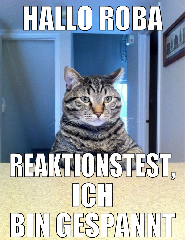 hallo roba reaktionstest, ich bin gespannt