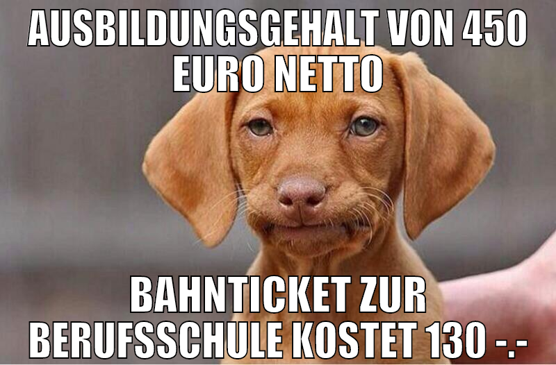 ausbildungsgehalt von 450 euro netto bahnticket zu