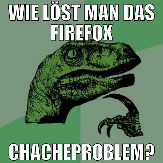 wie löst man das firefox chacheproblem?