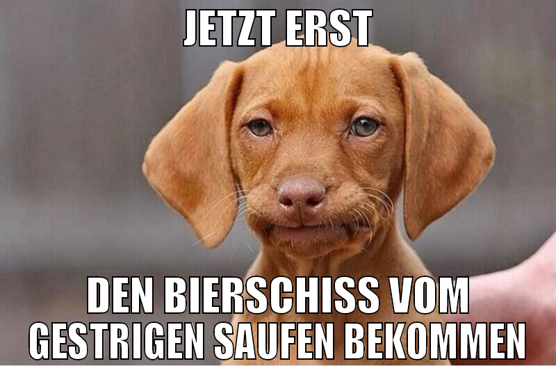 jetzt erst den bierschiß vom gestrigen saufen beko