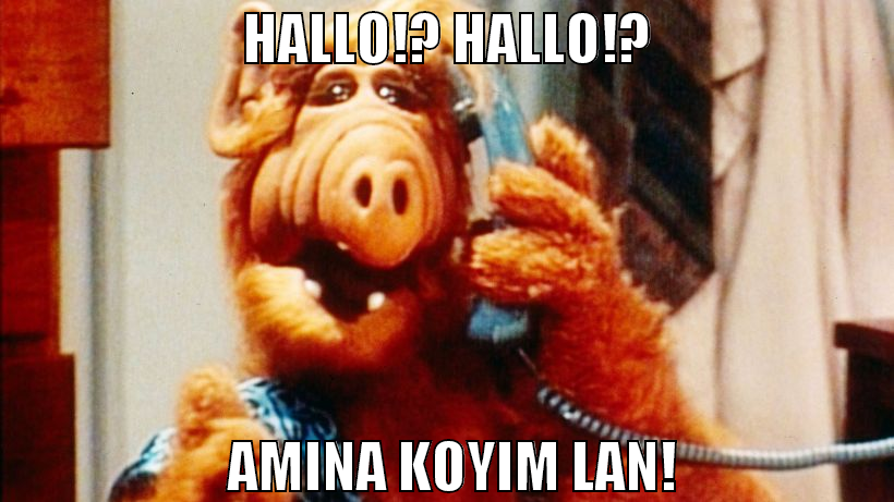 hallo!? Hallo!?  amina koyim lan!