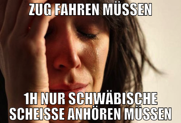 zug fahren müssen 1h nur schwäbische scheisse anhö