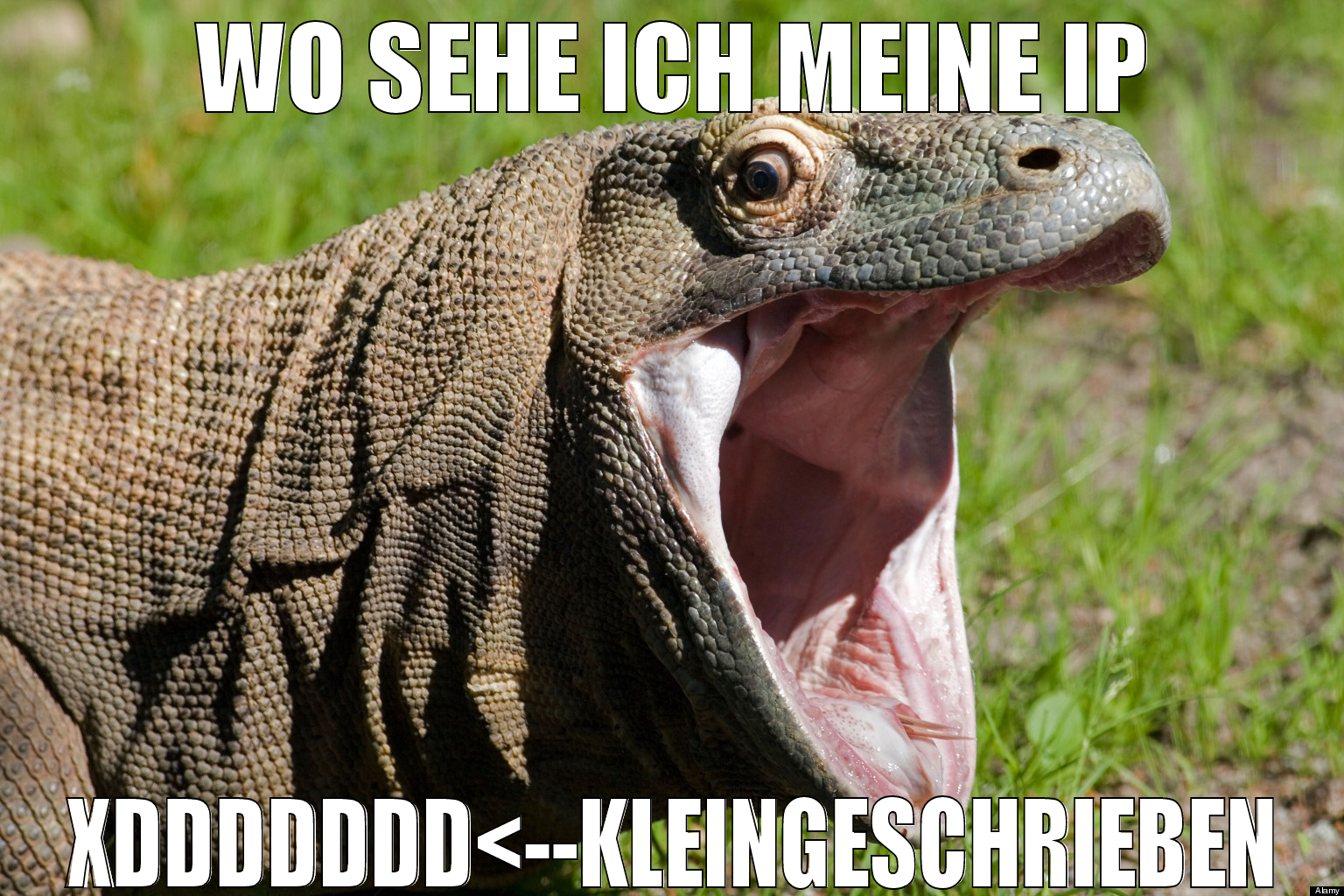 wo sehe ich meine ip xddddddd<--kleingeschrieben