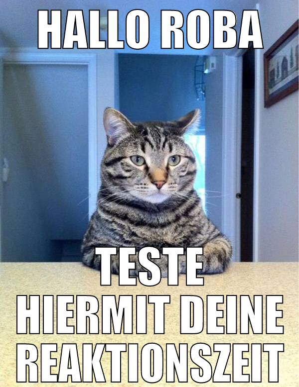 hallo roba teste hiermit deine reaktionszeit
