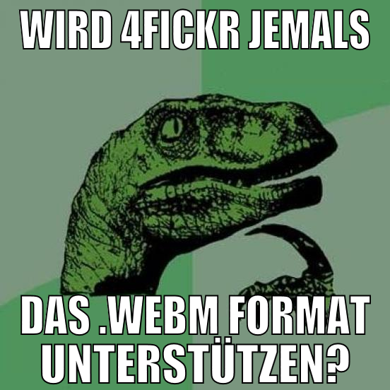 Wird 4Fickr jemals Das .webm Format unterstützen?