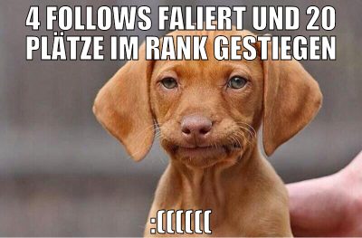 4 follows faliert und 20 plätze im rank gestiegen