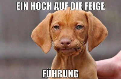 ein hoch auf die feige führung