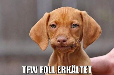 TFW FOLL ERKÄLTET