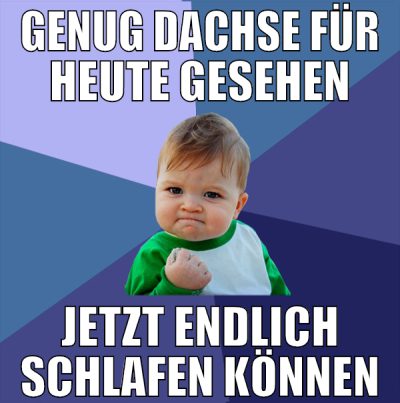 Genug Dachse für heute gesehen Jetzt endlich schla