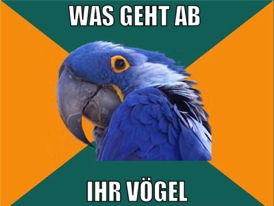 was geht ab  ihr vögel