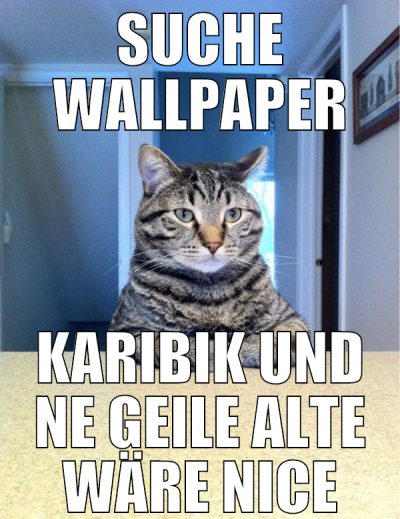 Suche Wallpaper Karibik und ne geile Alte wäre nic