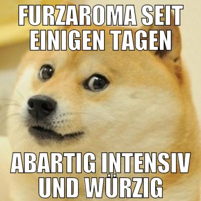 furzaroma seit einigen tagen abartig intensiv und