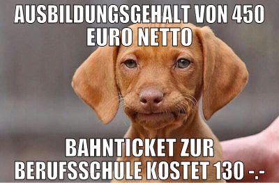 ausbildungsgehalt von 450 euro netto bahnticket zu