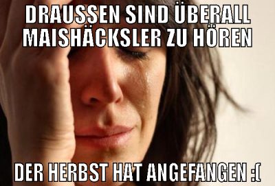 draußen sind überall maishäcksler zu hören der her