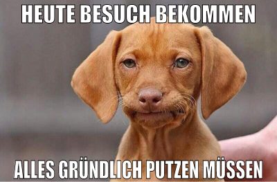 heute besuch bekommen alles gründlich putzen müsse