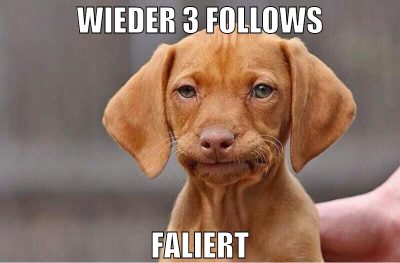 wieder 3 follows faliert