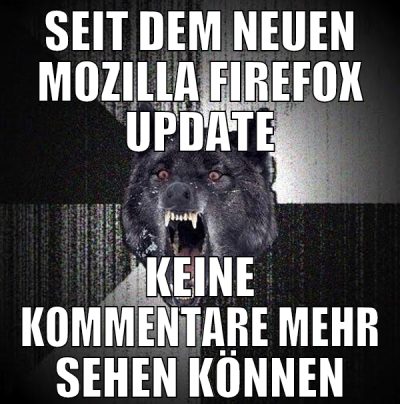 sEIT DEM NEUEN MOZILLA FIREFOX UPDATE KEINE KOMMEN