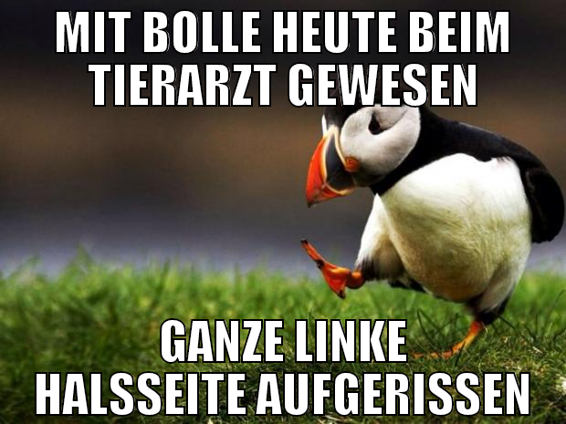 mit bolle heute beim tierarzt gewesen ganze linke